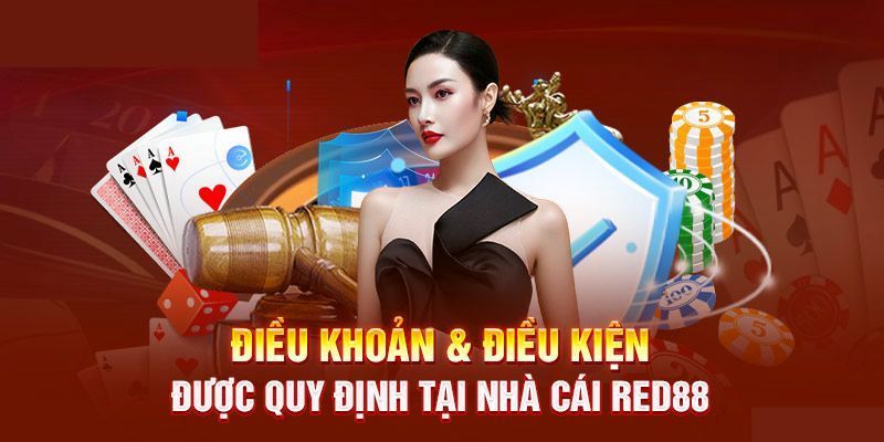 Điều kiện và điều khoản