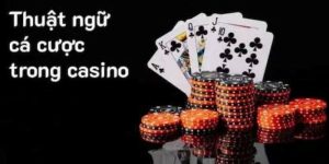 Hiểu Rõ Các Thuật Ngữ Trong Casino Giúp Tăng Tỷ Lệ Thắng