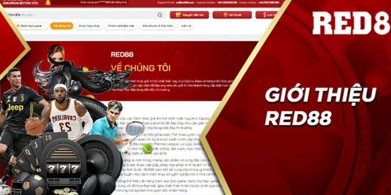 Vậy suy cho cùng Red88 có uy tín không