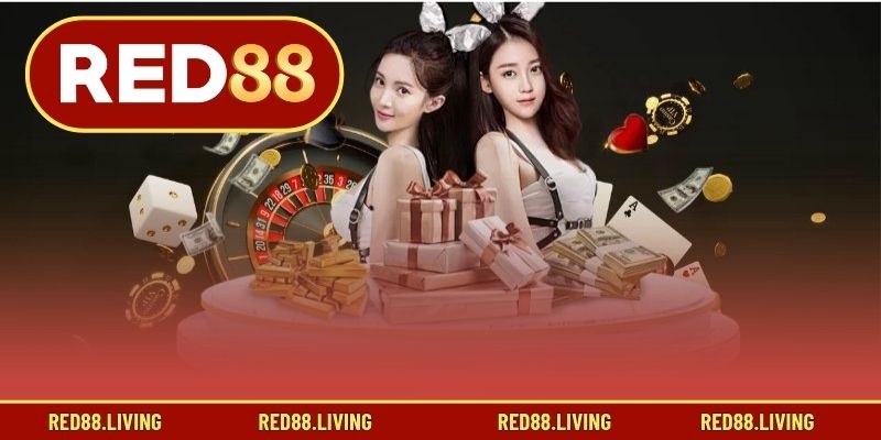 Các thắc mắc phổ biến về hệ thống RED88