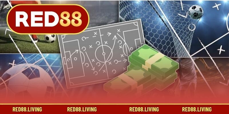 Bí quyết bắt kèo từ người có kinh nghiệm