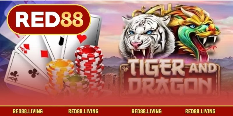 Bí quyết chiến thắng game Rồng Hổ