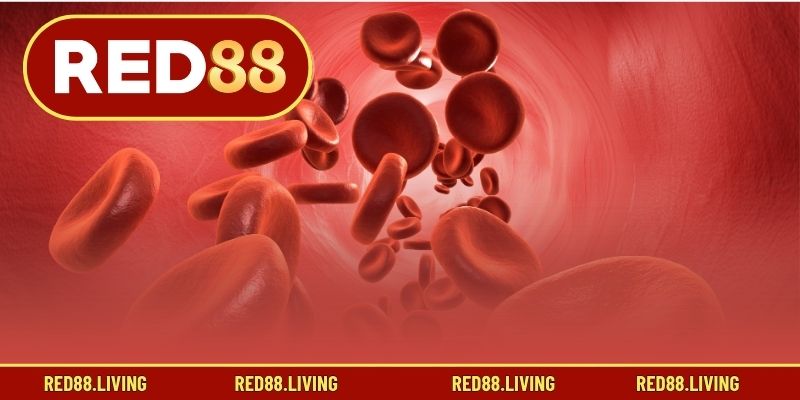 Biểu tượng và tâm linh của mơ thấy máu