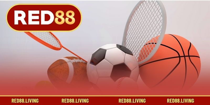 Các kiểu đặt cược phổ biến tại thể thao RED88