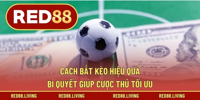 Cách Bắt Kèo Hiệu Quả – Bí Quyết Giúp Cược Thủ Tối Ưu
