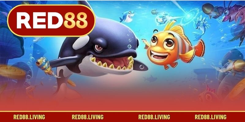 Chiến thuật thắng lớn khi chơi cá vàng