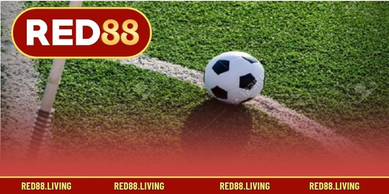 Điểm mạnh và yếu cược chấp 0.5