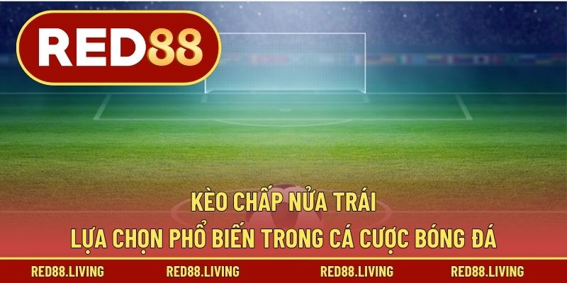 Kèo Chấp Nửa Trái – Lựa Chọn Phổ Biến Trong Cá Cược Bóng Đá