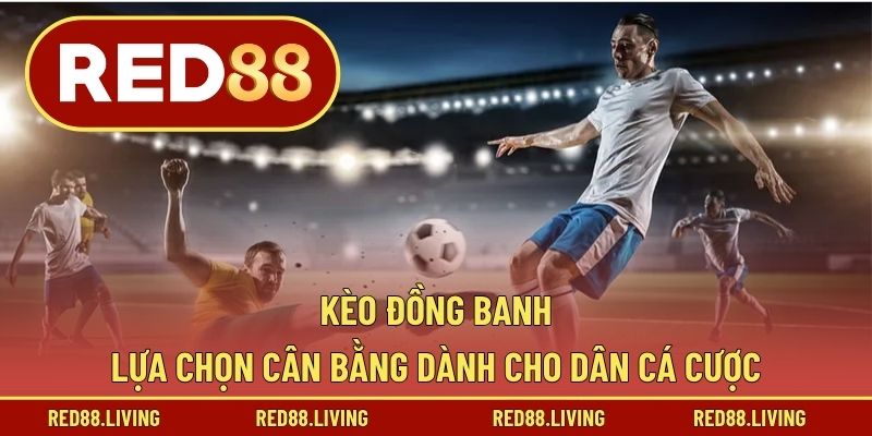 Kèo Đồng Banh – Lựa Chọn Cân Bằng Dành Cho Dân Cá Cược