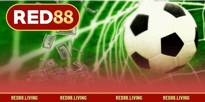 Kinh nghiệm soi, vào tiền kèo chấp 0.5