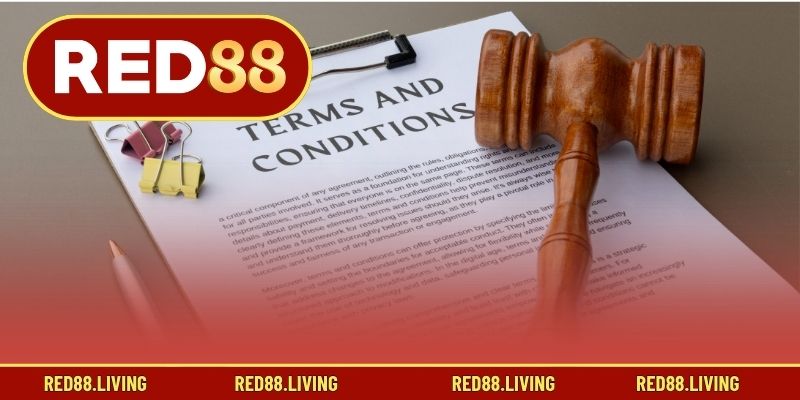 Lý do cần lập Điều khoản Điều kiện RED88