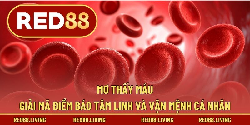 Mơ Thấy Máu – Giải Mã Điềm Báo Tâm Linh Và Vận Mệnh Cá Nhân