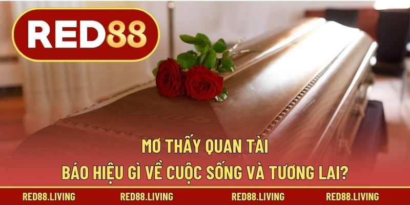 Mơ Thấy Quan Tài – Báo Hiệu Gì Về Cuộc Sống Và Tương Lai?