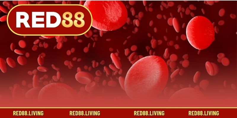 Phương pháp giải mã các giấc mơ máu