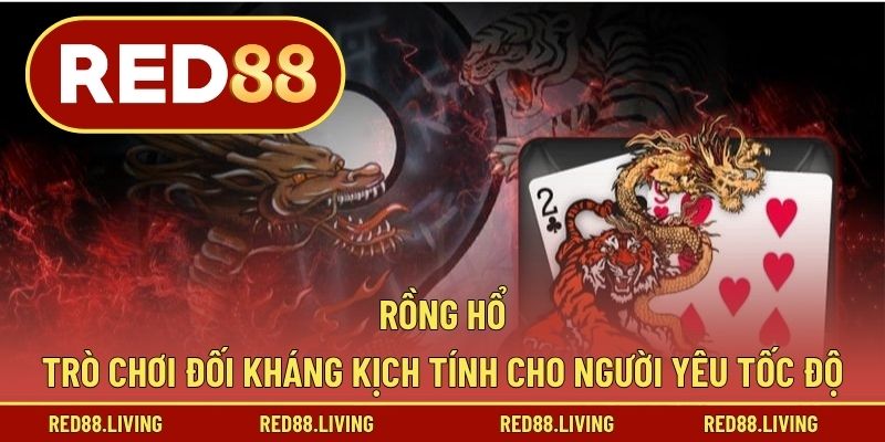 Rồng Hổ – Trò Chơi Đối Kháng Kịch Tính Cho Người Yêu Tốc Độ