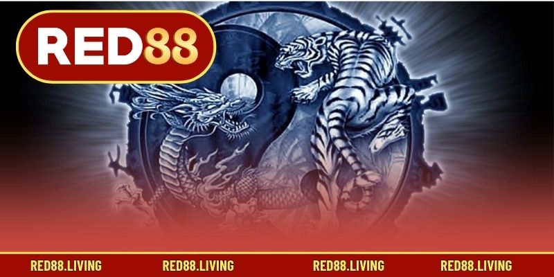 Tổng quan, giới thiệu game bài Rồng Hổ