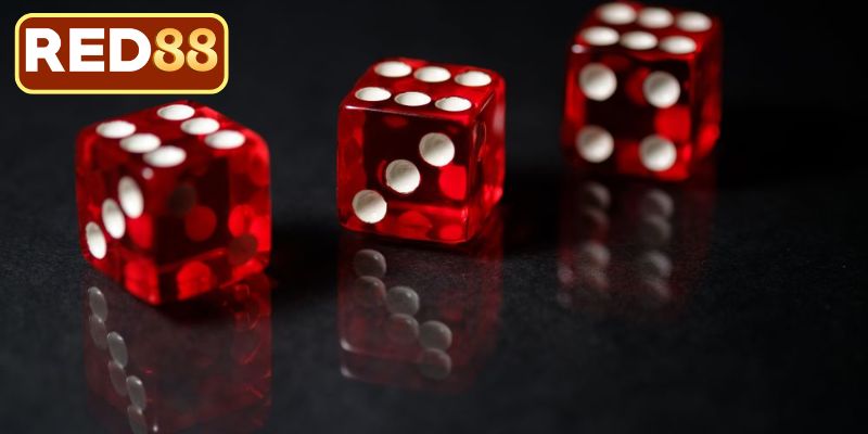 Chính sách bảo vệ an toàn cho hội viên cá cược