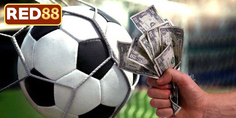 Kinh nghiệm soi kèo từ các chuyên gia